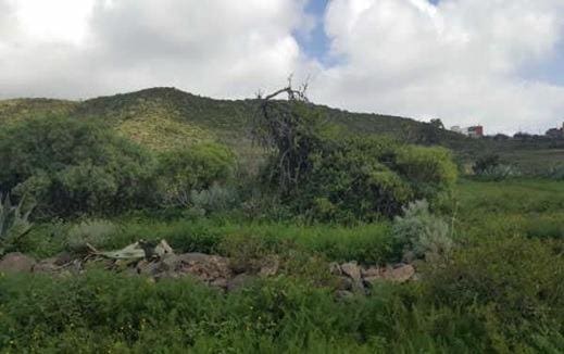 Undeveloped Land for sale in San Cristóbal de La Laguna - € 80,000 (Ref: 7442914)