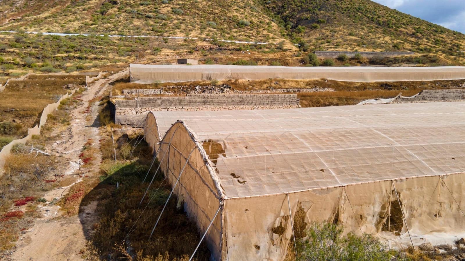 Terreno Não Urbanizado para venda em San Isidro de Abona - 670 000 € (Ref: 7620657)