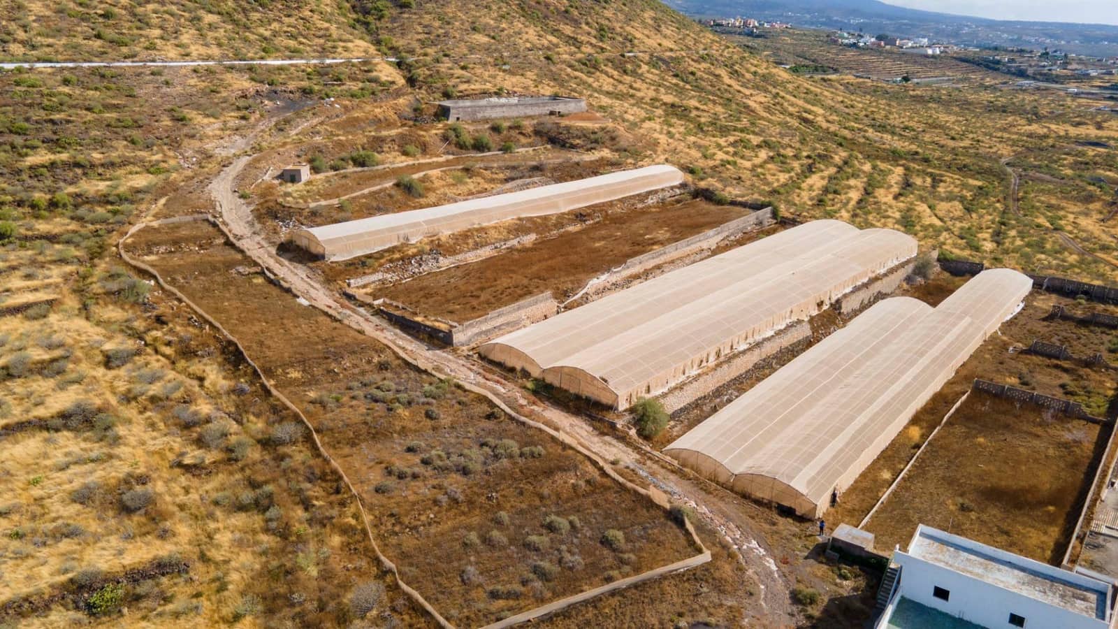 Undeveloped Land for sale in San Isidro de Abona - € 670,000 (Ref: 7620657)