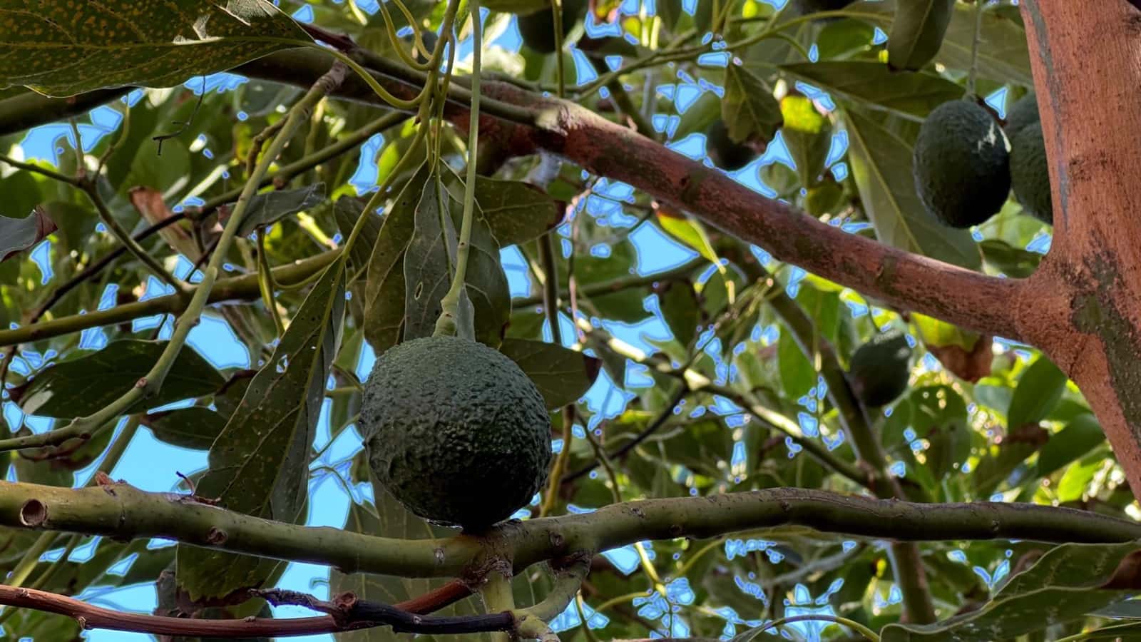 Byggegrund til salg i Brena Baja - € 1.200.000 (Ref: 7900106)