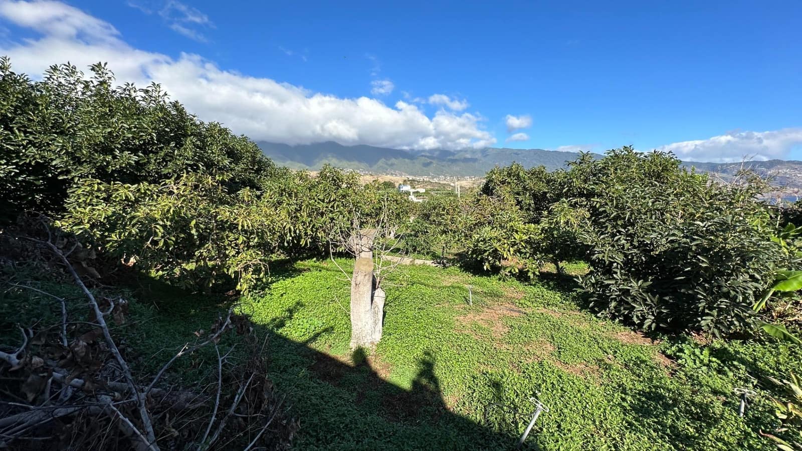 Byggegrund til salg i Brena Baja - € 1.200.000 (Ref: 7900106)