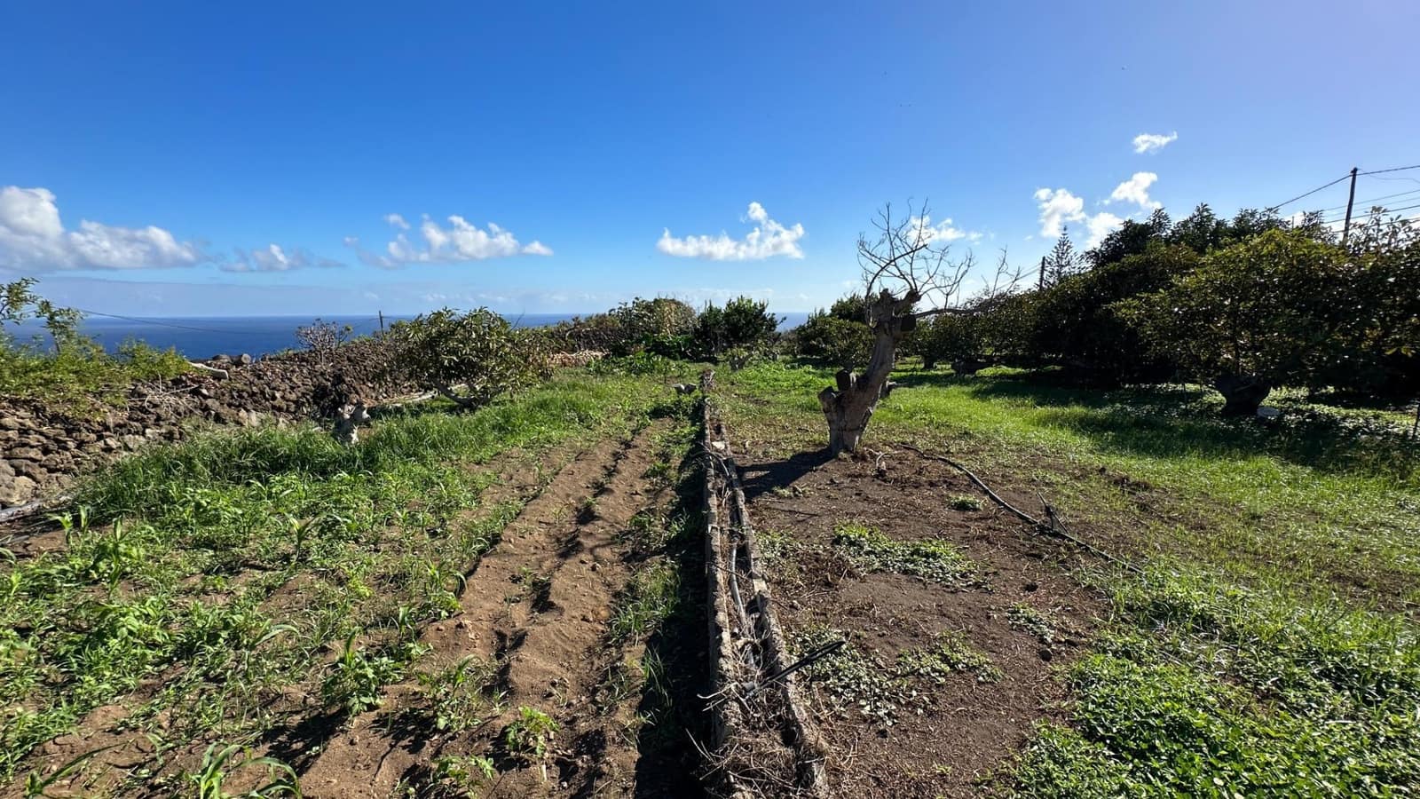 Byggegrund til salg i Brena Baja - € 1.200.000 (Ref: 7900106)