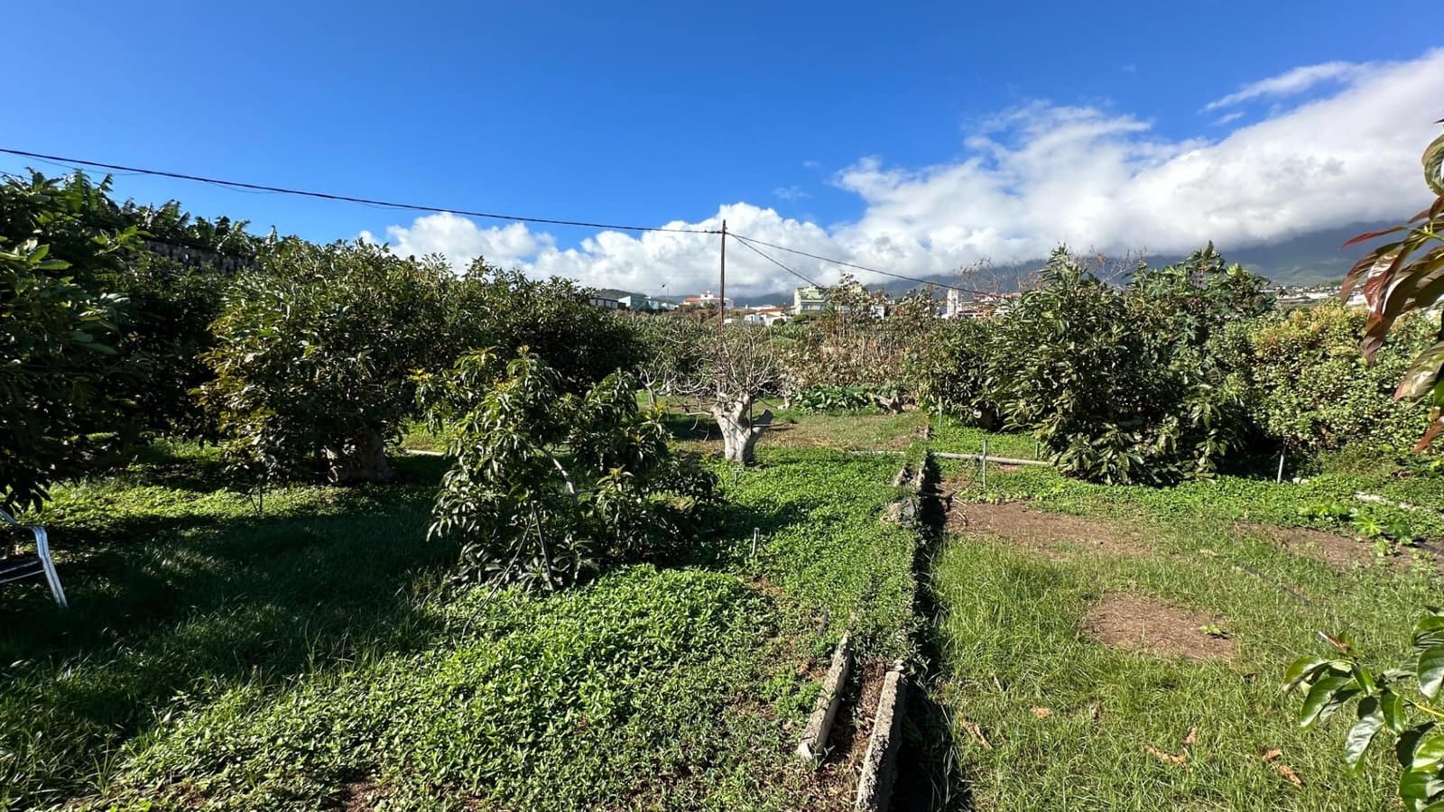 Area Edificabile in vendita in Brena Baja - 999.000 € (Rif: 7900106)