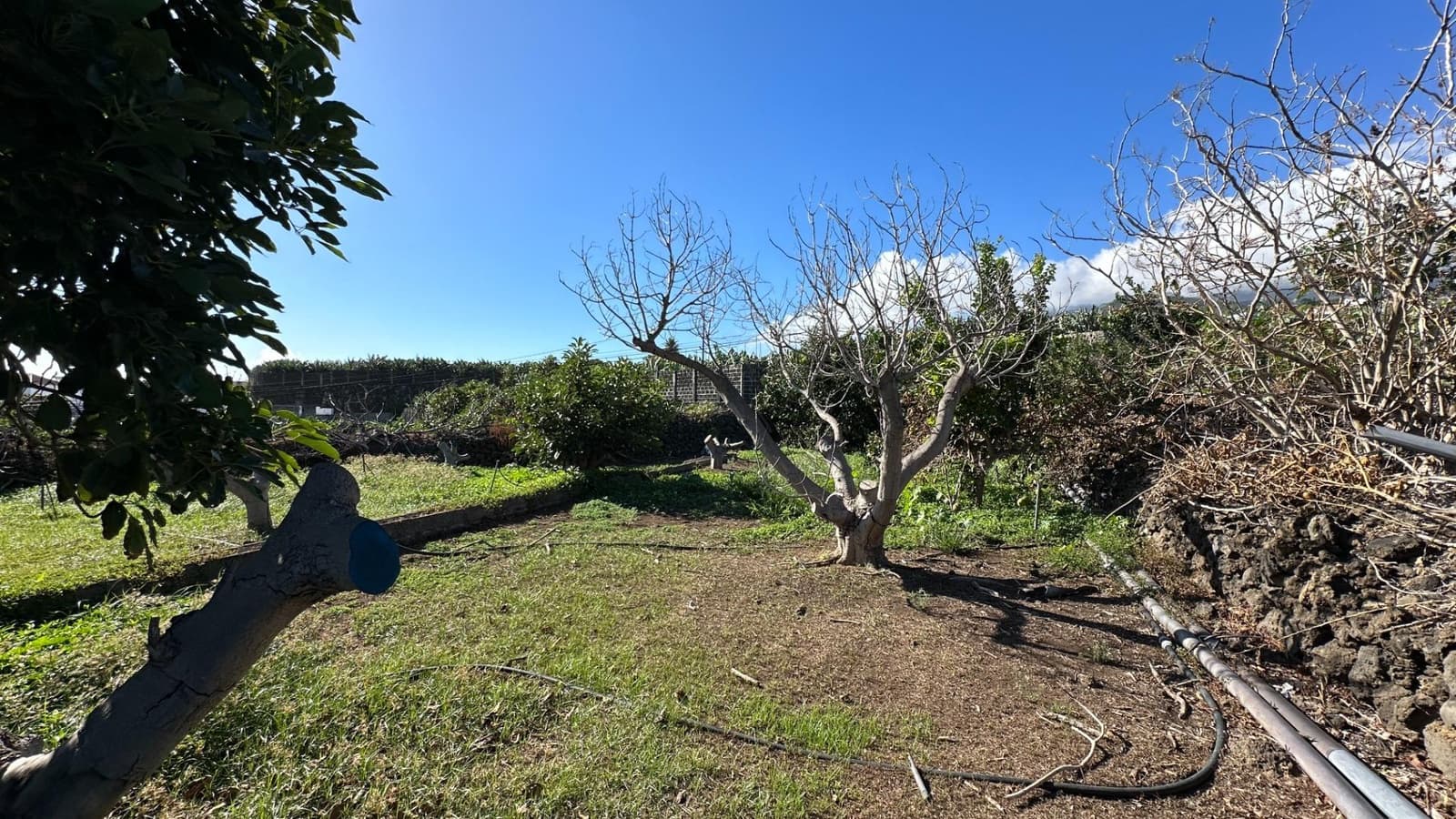 Area Edificabile in vendita in Brena Baja - 999.000 € (Rif: 7900106)