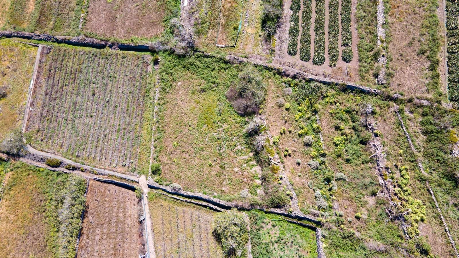 Ubebygd land til salgs i Buenavista del Norte - € 19 420 (Ref: 8181792)