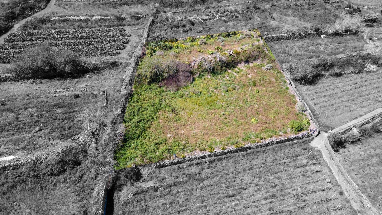 Ubebygd land til salgs i Buenavista del Norte - € 19 420 (Ref: 8181792)