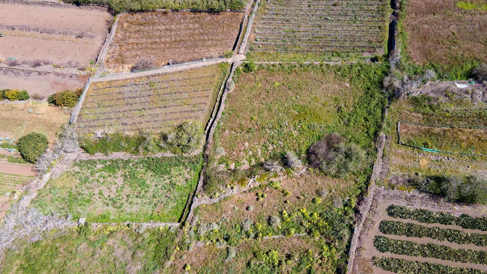 Ubebygd land til salgs i Buenavista del Norte - € 19 420 (Ref: 8181792)