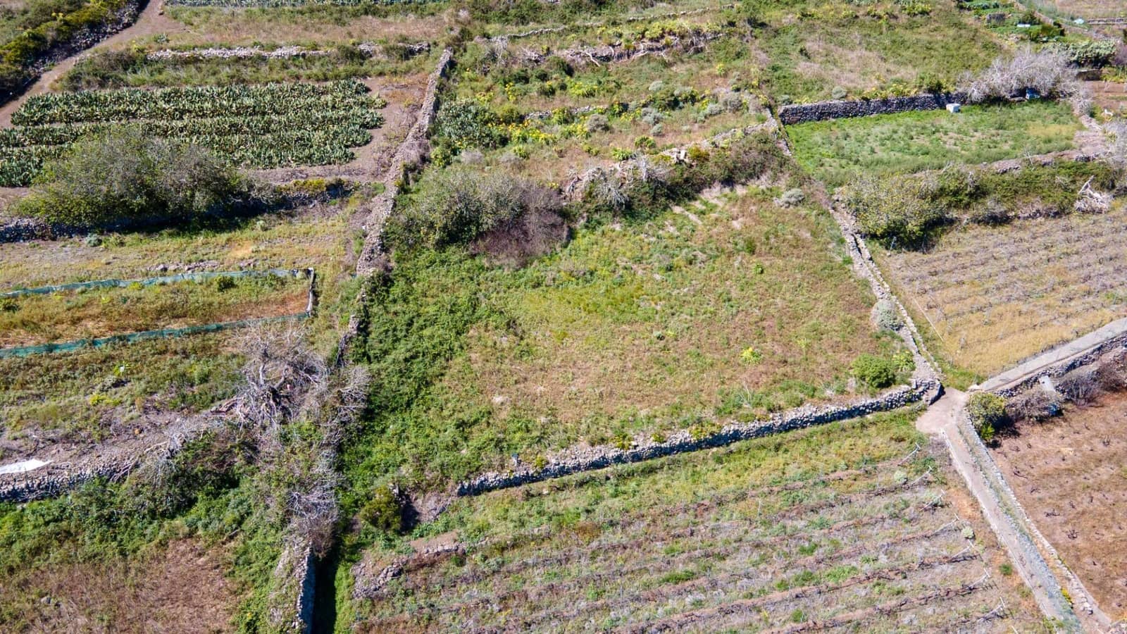 Ubebygd land til salgs i Buenavista del Norte - € 19 420 (Ref: 8181792)