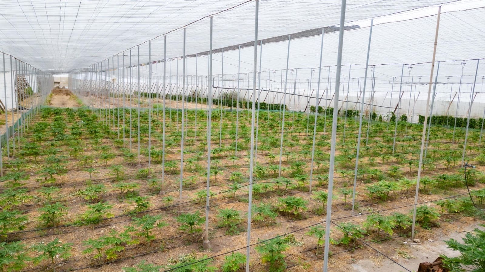 Rakentamaton maa myytävänä paikassa San Cristobal de La Laguna - 990 000 € (Ref: 8397027)