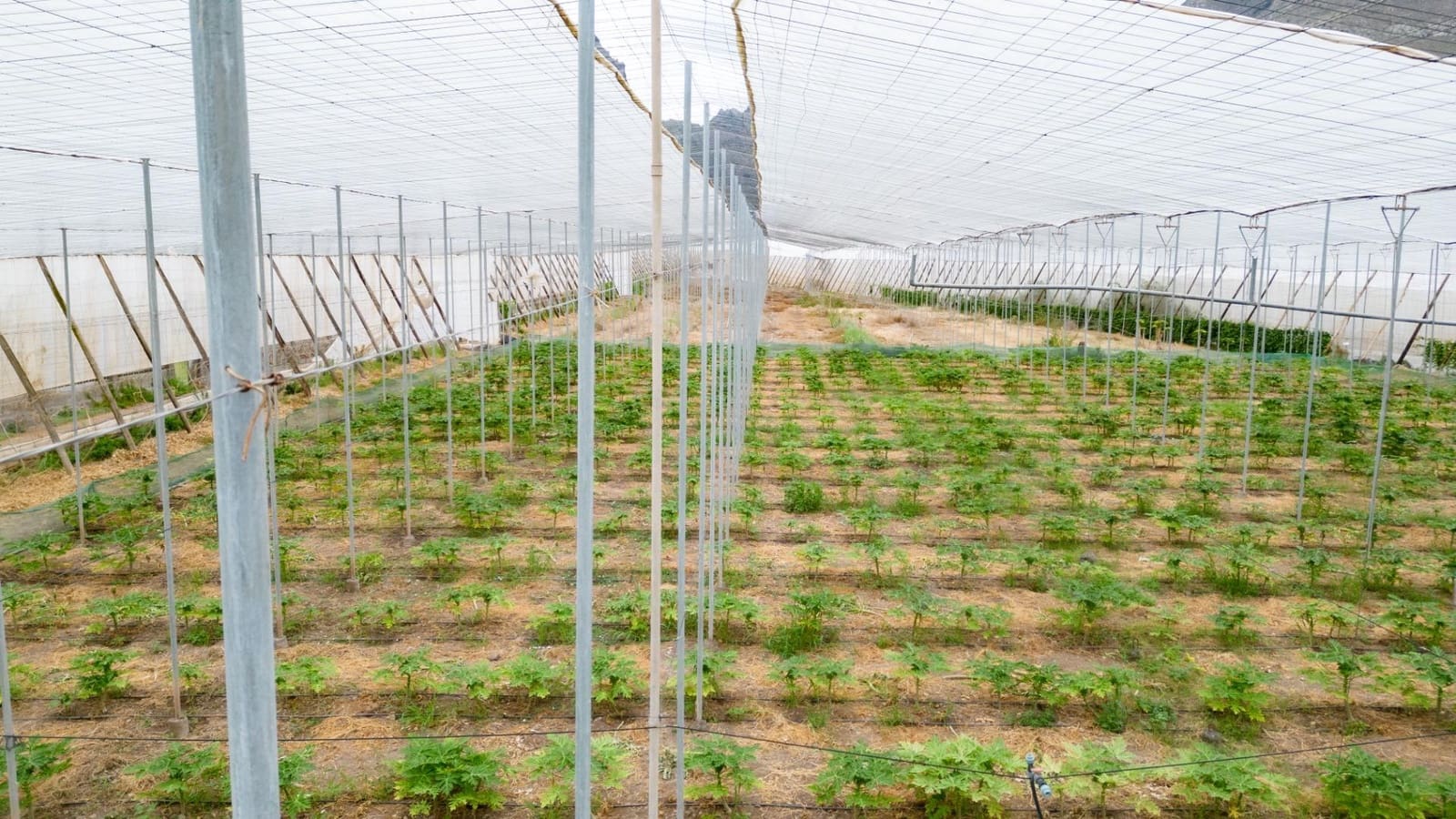 Rakentamaton maa myytävänä paikassa San Cristobal de La Laguna - 990 000 € (Ref: 8397027)