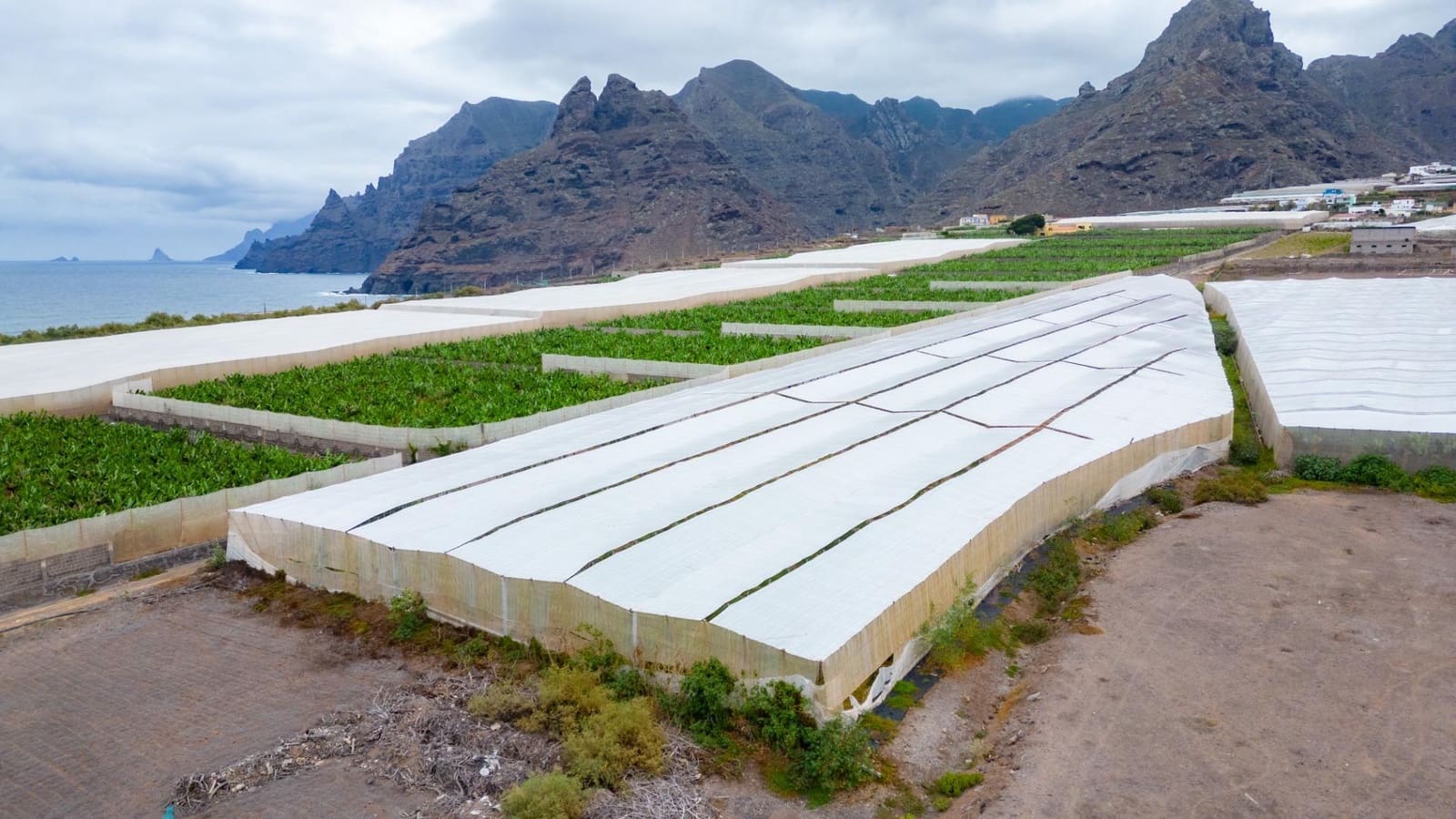 Rakentamaton maa myytävänä paikassa San Cristobal de La Laguna - 990 000 € (Ref: 8397027)