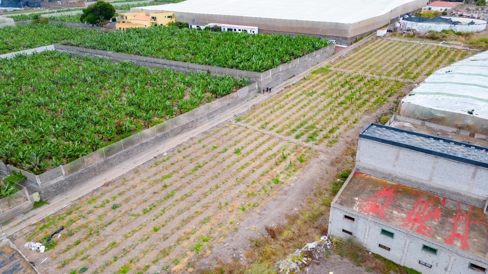 Rakentamaton maa myytävänä paikassa San Cristobal de La Laguna - 990 000 € (Ref: 8397027)