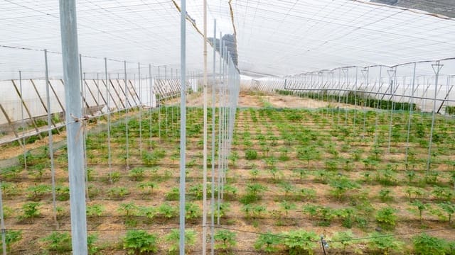 Grond te koop in San Cristóbal de La Laguna - € 990.000 (Ref: 8397027)