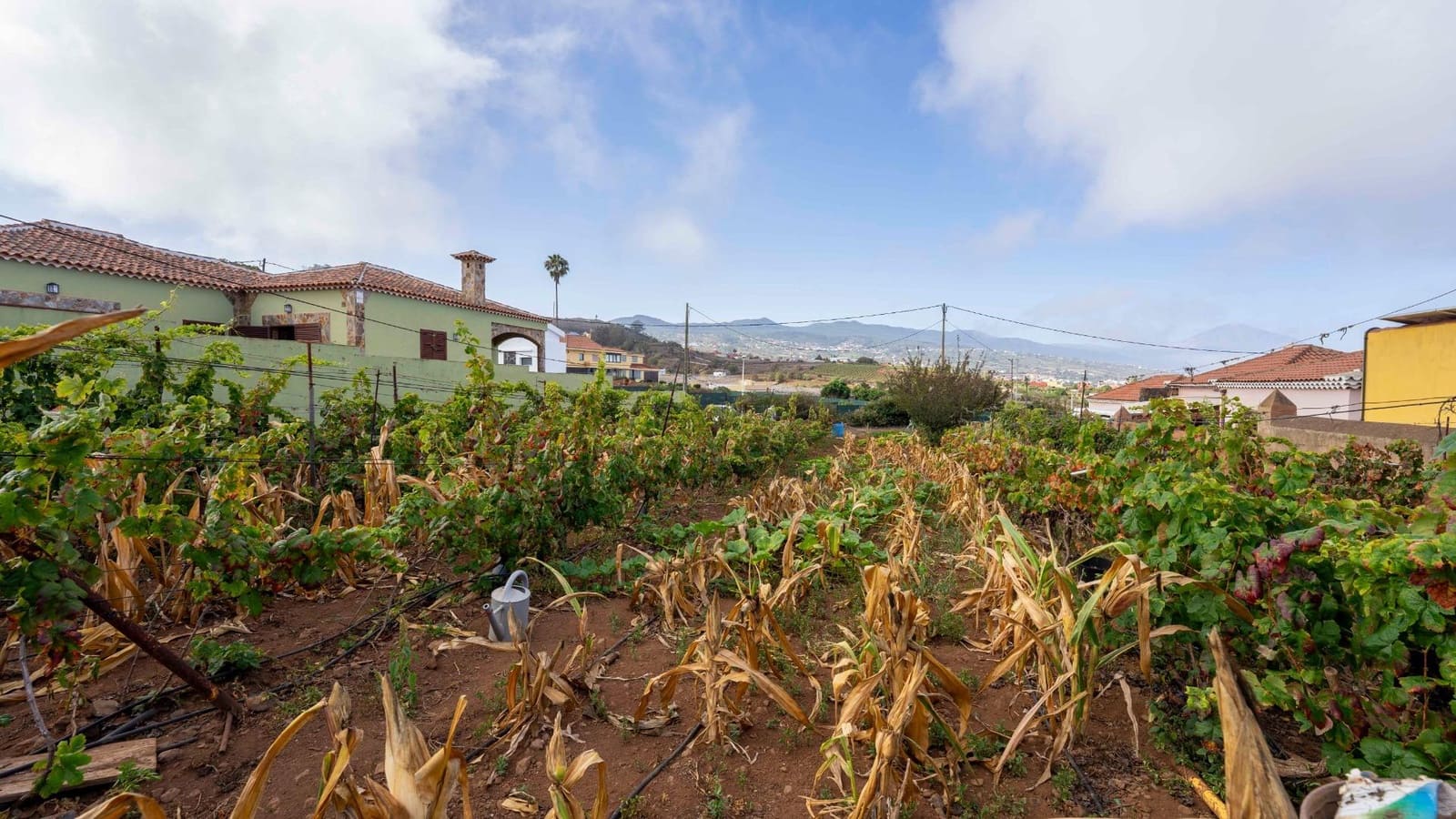 Byggegrund til salg i Tacoronte - € 189.000 (Ref: 8479482)