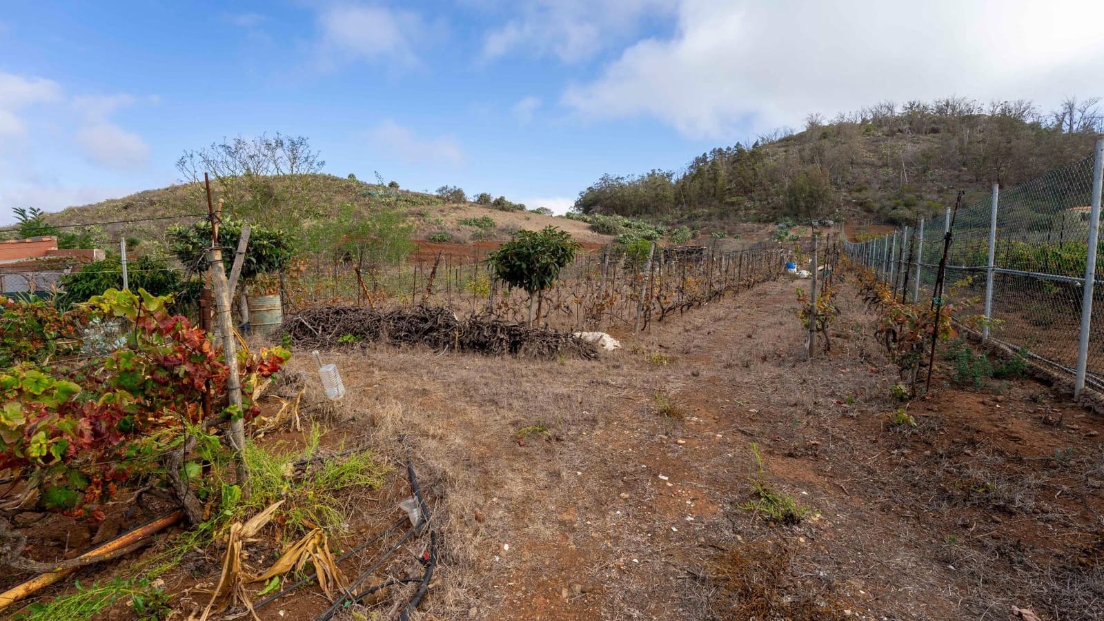 Byggegrund til salg i Tacoronte - € 189.000 (Ref: 8479482)