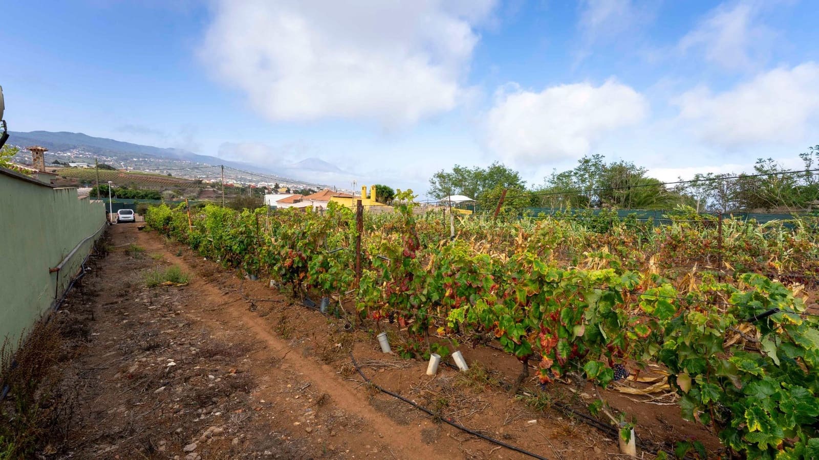 Byggegrund til salg i Tacoronte - € 189.000 (Ref: 8479482)