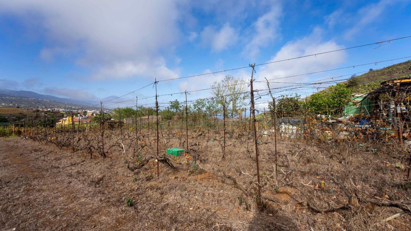 Byggegrund til salg i Tacoronte - € 189.000 (Ref: 8479482)