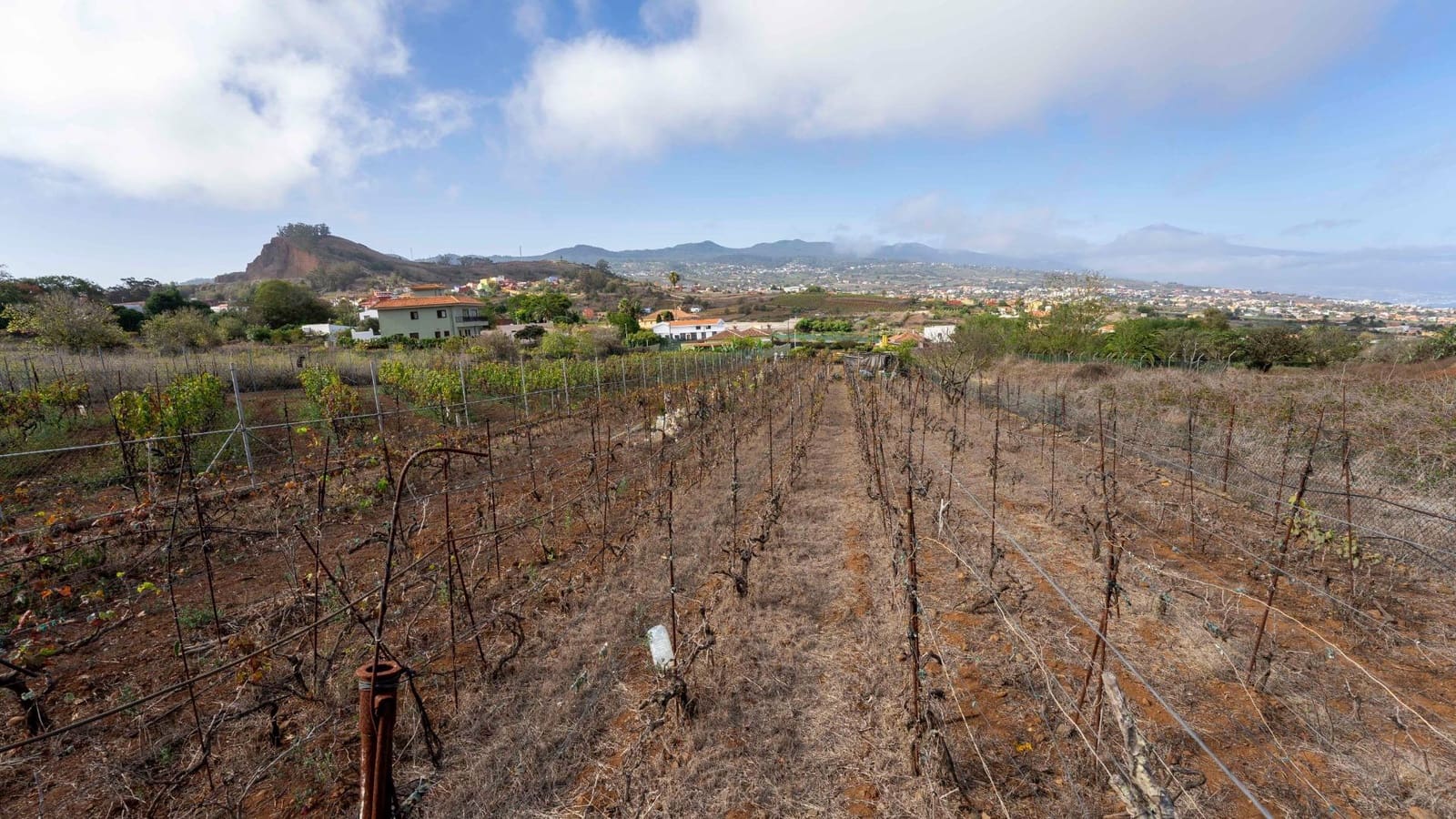 Byggegrund til salg i Tacoronte - € 189.000 (Ref: 8479482)