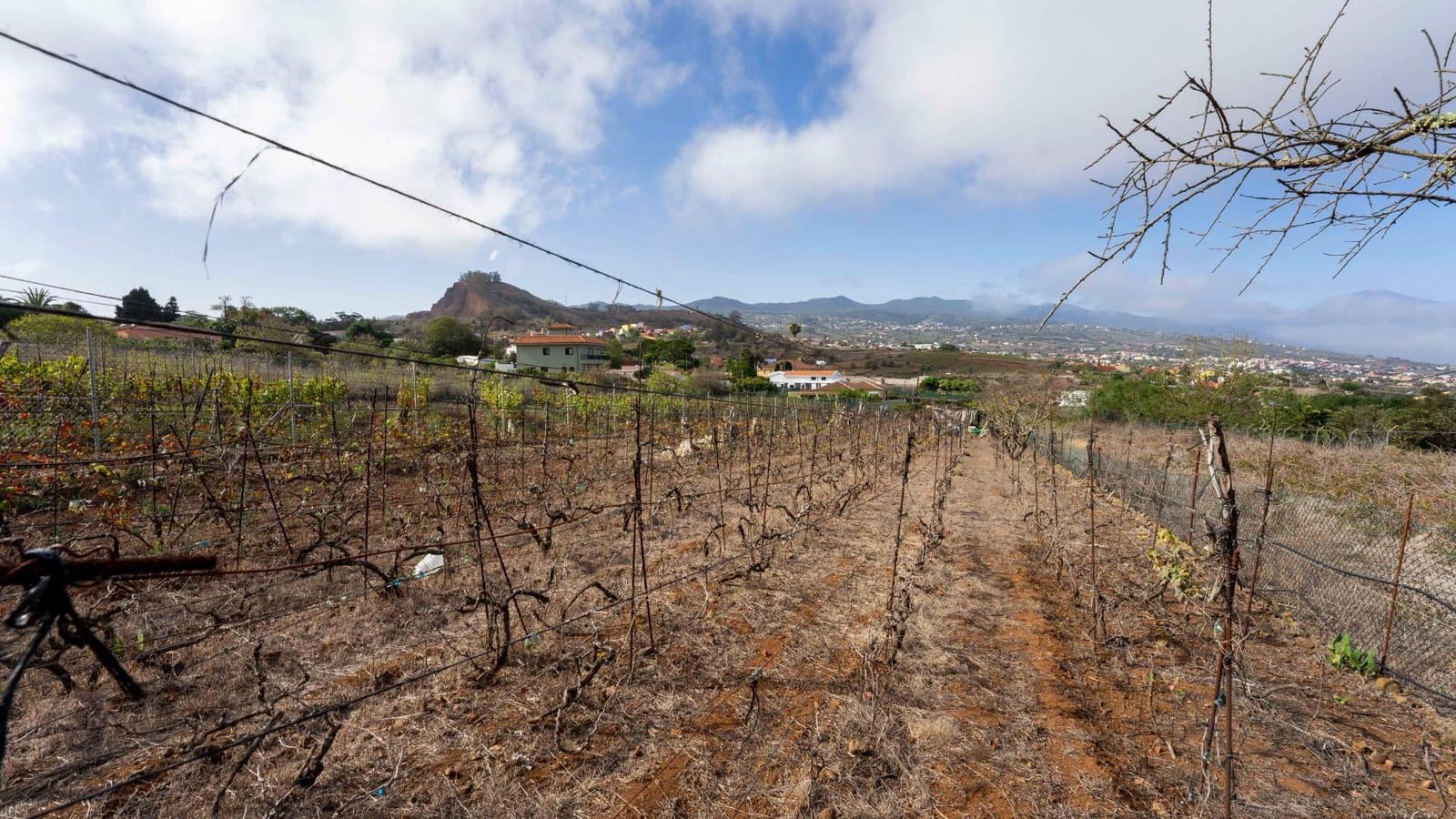 Byggegrund til salg i Tacoronte - € 189.000 (Ref: 8479482)