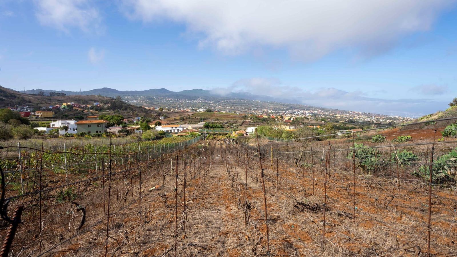 Byggegrund til salg i Tacoronte - € 189.000 (Ref: 8479482)