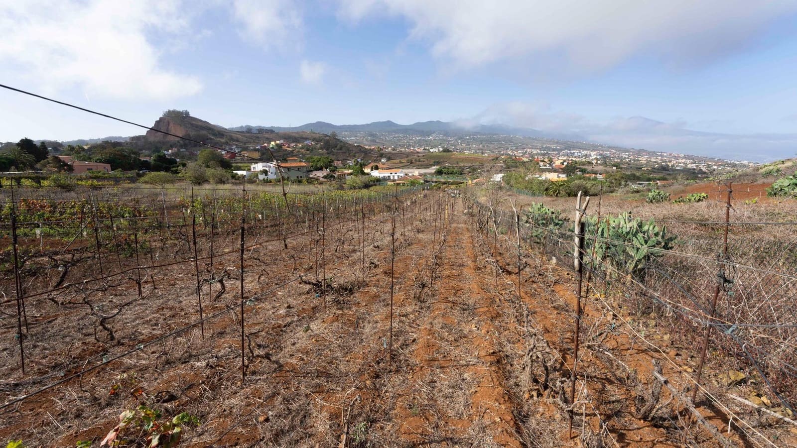 Byggegrund til salg i Tacoronte - € 189.000 (Ref: 8479482)