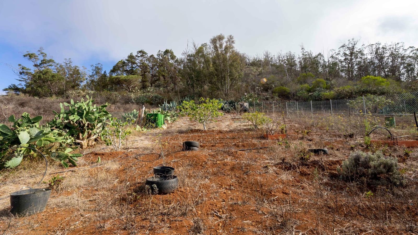 Byggegrund til salg i Tacoronte - € 189.000 (Ref: 8479482)