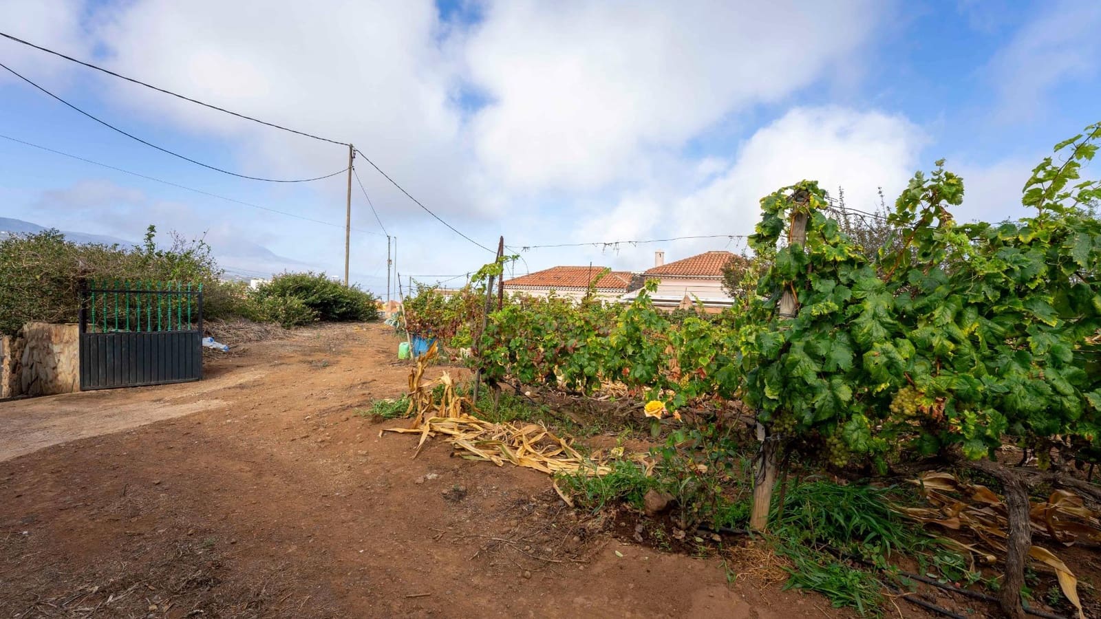 Byggegrund til salg i Tacoronte - € 189.000 (Ref: 8479482)