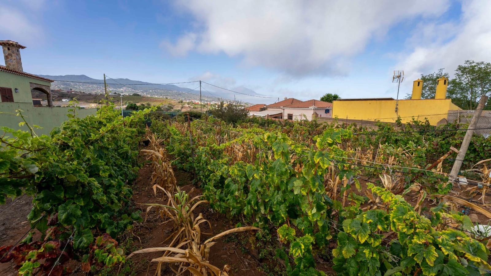 Byggegrund til salg i Tacoronte - € 189.000 (Ref: 8479482)