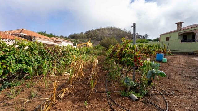 Tomt till salu i Tacoronte - 189 000 € (Ref: 8479482)