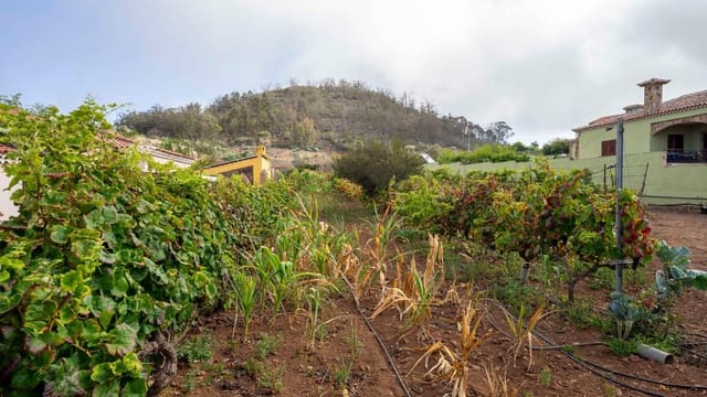 Tomt till salu i Tacoronte - 189 000 € (Ref: 8479482)