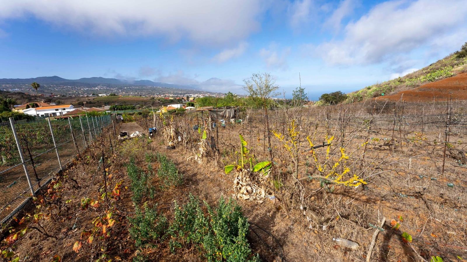 Byggegrund til salg i Tacoronte - € 189.000 (Ref: 8479482)