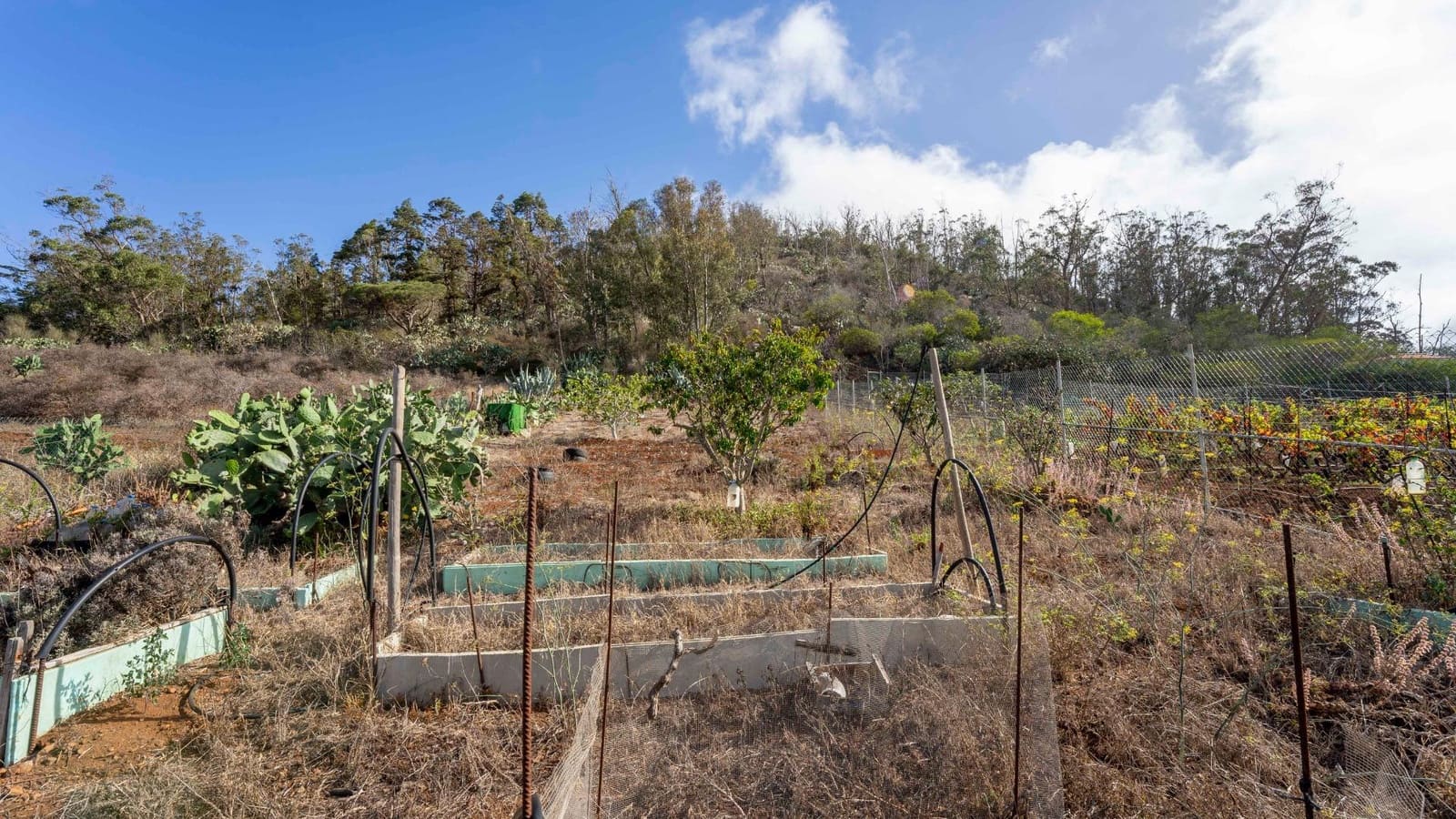 Byggegrund til salg i Tacoronte - € 189.000 (Ref: 8479482)