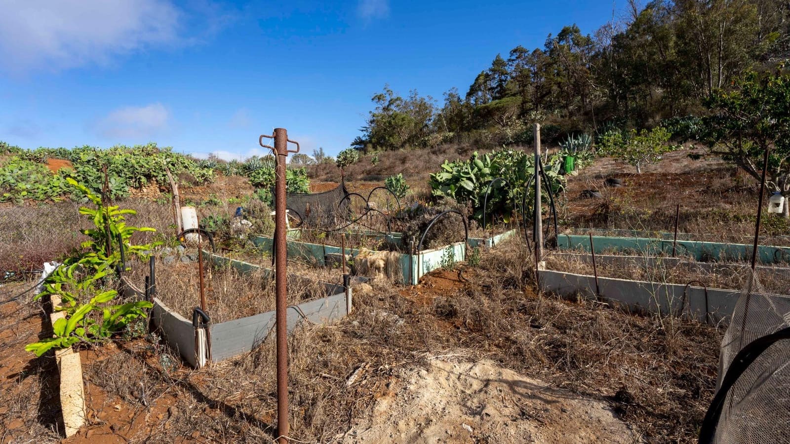 Byggegrund til salg i Tacoronte - € 189.000 (Ref: 8479482)