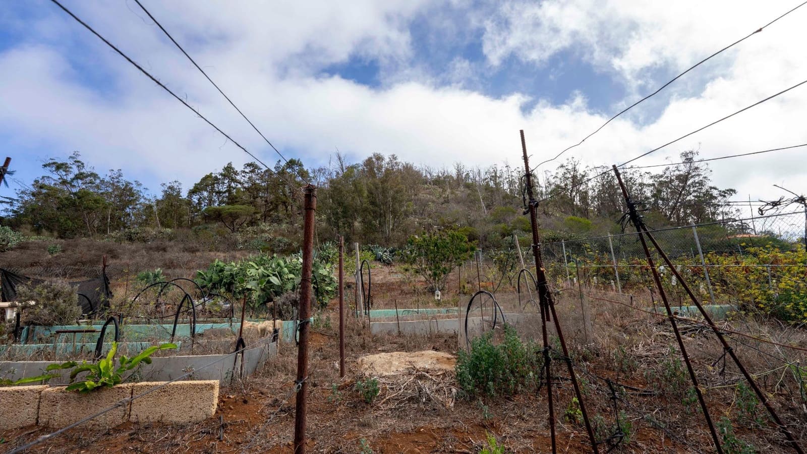 Byggegrund til salg i Tacoronte - € 189.000 (Ref: 8479482)