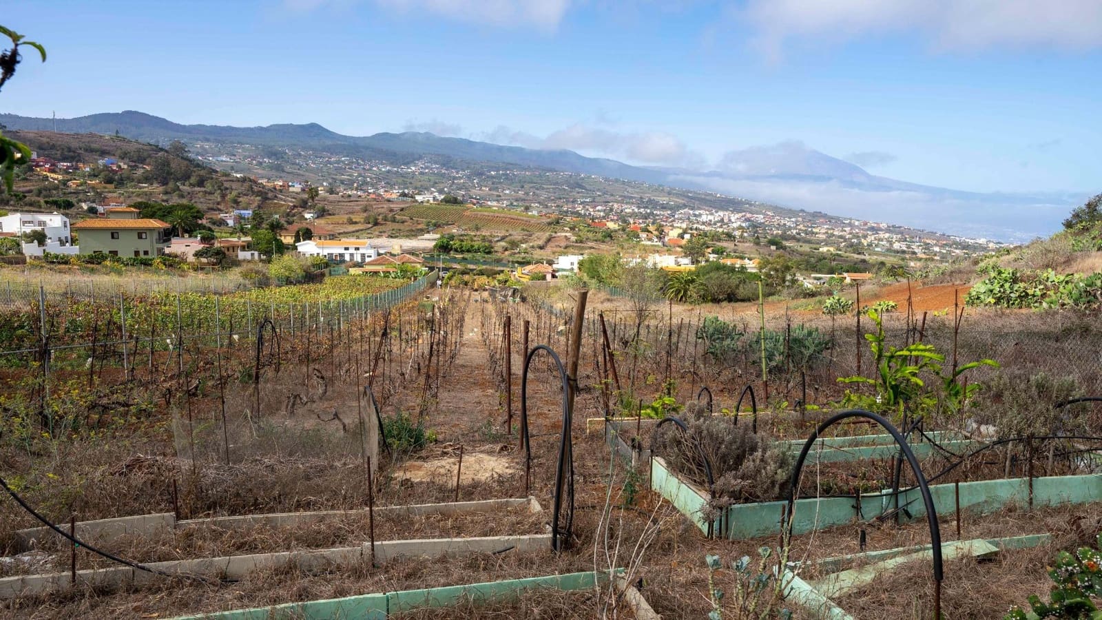 Byggegrund til salg i Tacoronte - € 189.000 (Ref: 8479482)