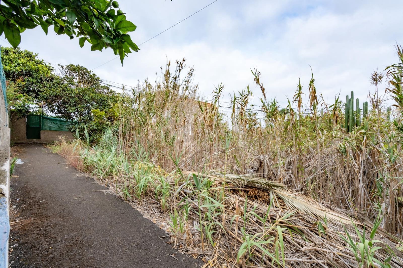 Byggegrund til salg i Tacoronte - € 89.000 (Ref: 8538730)