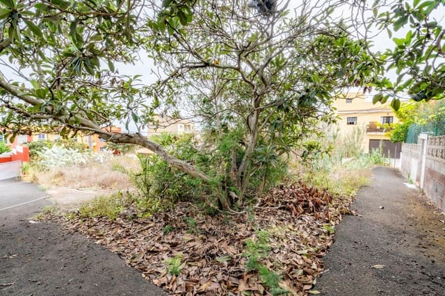 Tomt till salu i Tacoronte - 89 000 € (Ref: 8538730)