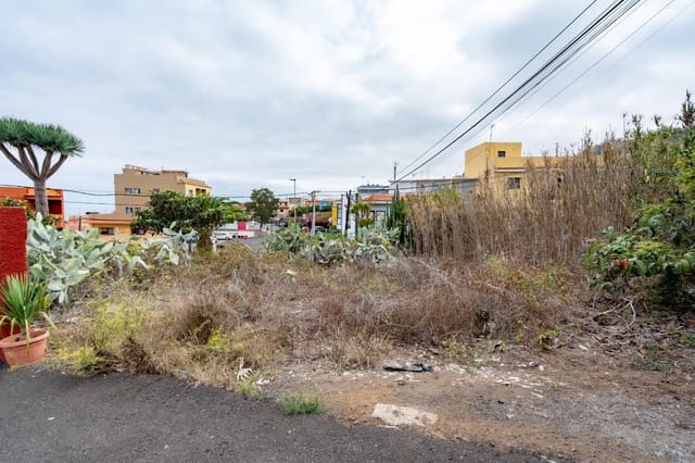 Tomt till salu i Tacoronte - 89 000 € (Ref: 8538730)