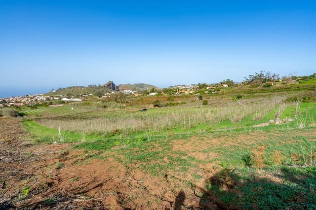 Mark till salu i Tacoronte - 83 759 € (Ref: 8662500)