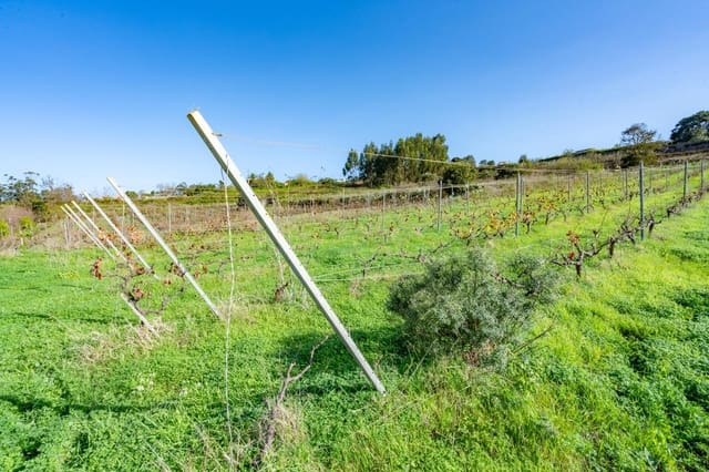 Mark till salu i Tacoronte - 83 759 € (Ref: 8662500)