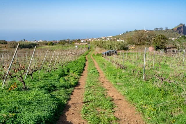 Mark till salu i Tacoronte - 83 759 € (Ref: 8662500)