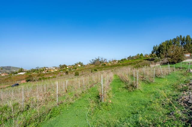 Landgrundstück zu verkaufen in Tacoronte - 83.759 € (Ref: 8662500)