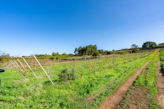 Landgrundstück zu verkaufen in Tacoronte - 83.759 € (Ref: 8662500)