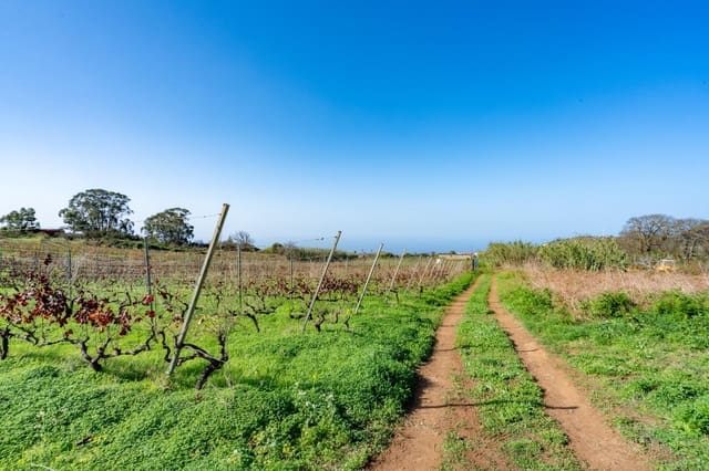 Landgrundstück zu verkaufen in Tacoronte - 83.759 € (Ref: 8662500)