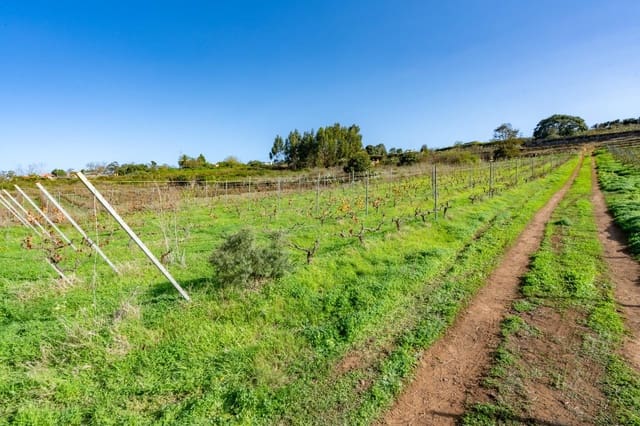 Landgrundstück zu verkaufen in Tacoronte - 83.759 € (Ref: 8662500)