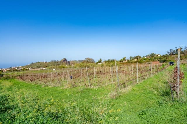 Mark till salu i Tacoronte - 38 896 € (Ref: 8662502)