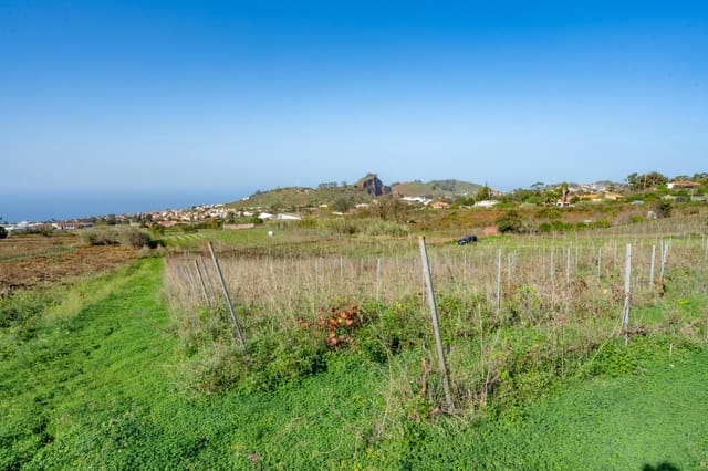 Mark till salu i Tacoronte - 38 896 € (Ref: 8662502)