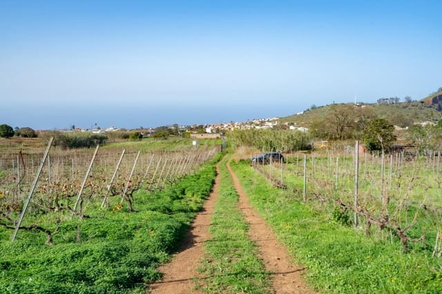 Mark till salu i Tacoronte - 38 896 € (Ref: 8662502)