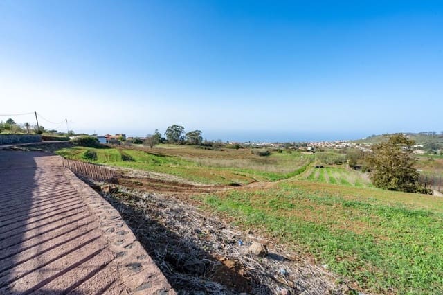 Mark till salu i Tacoronte - 38 896 € (Ref: 8662502)