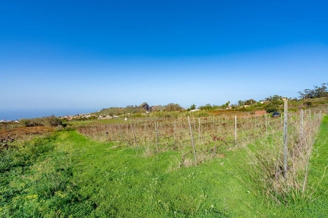 Mark till salu i Tacoronte - 38 896 € (Ref: 8662502)